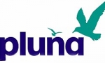 Pluna Lineas Aereas Uruguayas 